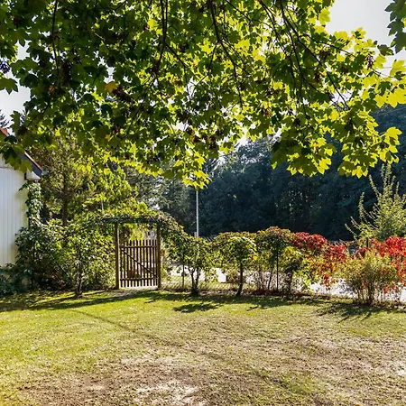 Sylke Apartment Marienwerder